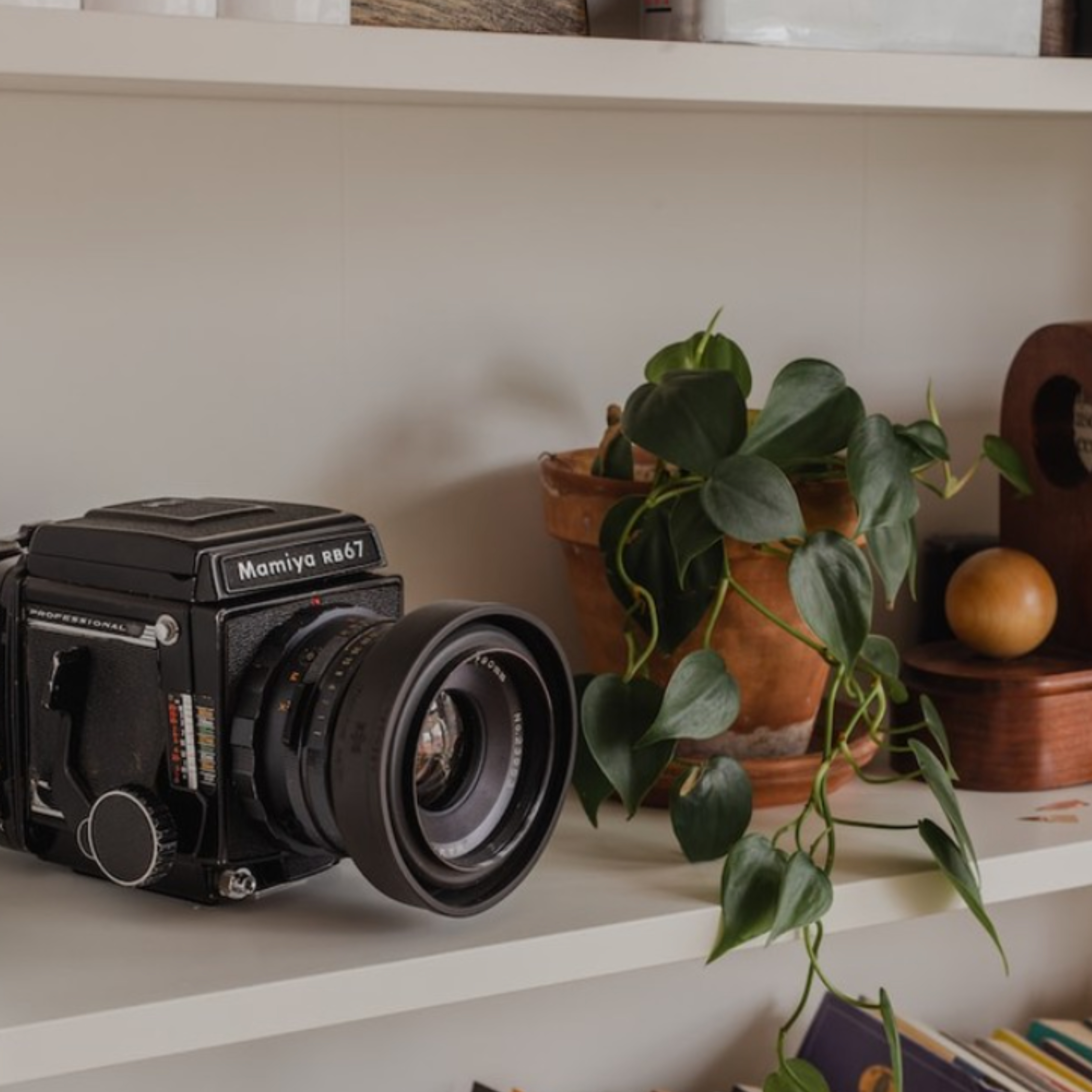 An old vintage camera sitting on a white shelf next to a potted plant