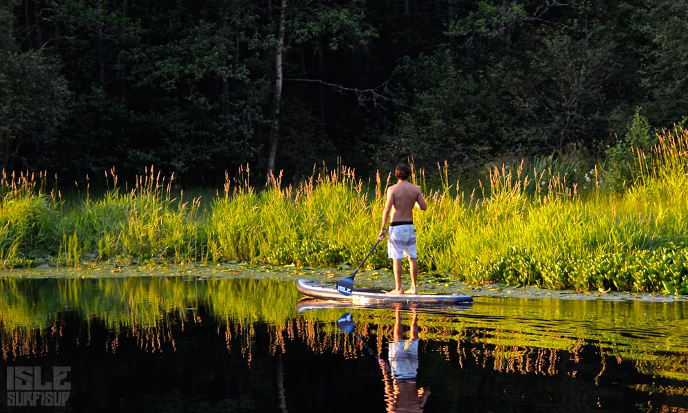 cosmo stand up paddle boarding in a pond field Bergen Norway