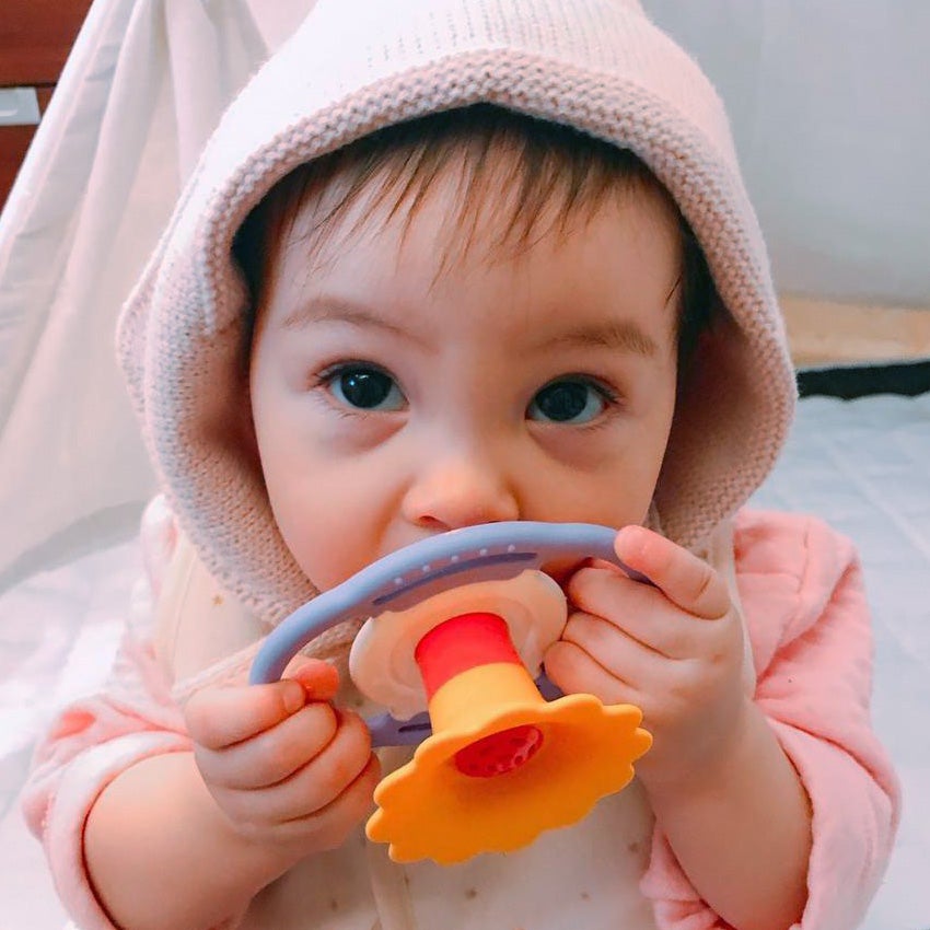 A baby using the Flower Whistle and gripping the handles on both sides with both hands. The baby girl is dressed in pink and looking up at the person taking the photo. The flower top is a dark yellow with a pink center. The round middle portion of the whistle is white in the middle and lavender on the outside. 