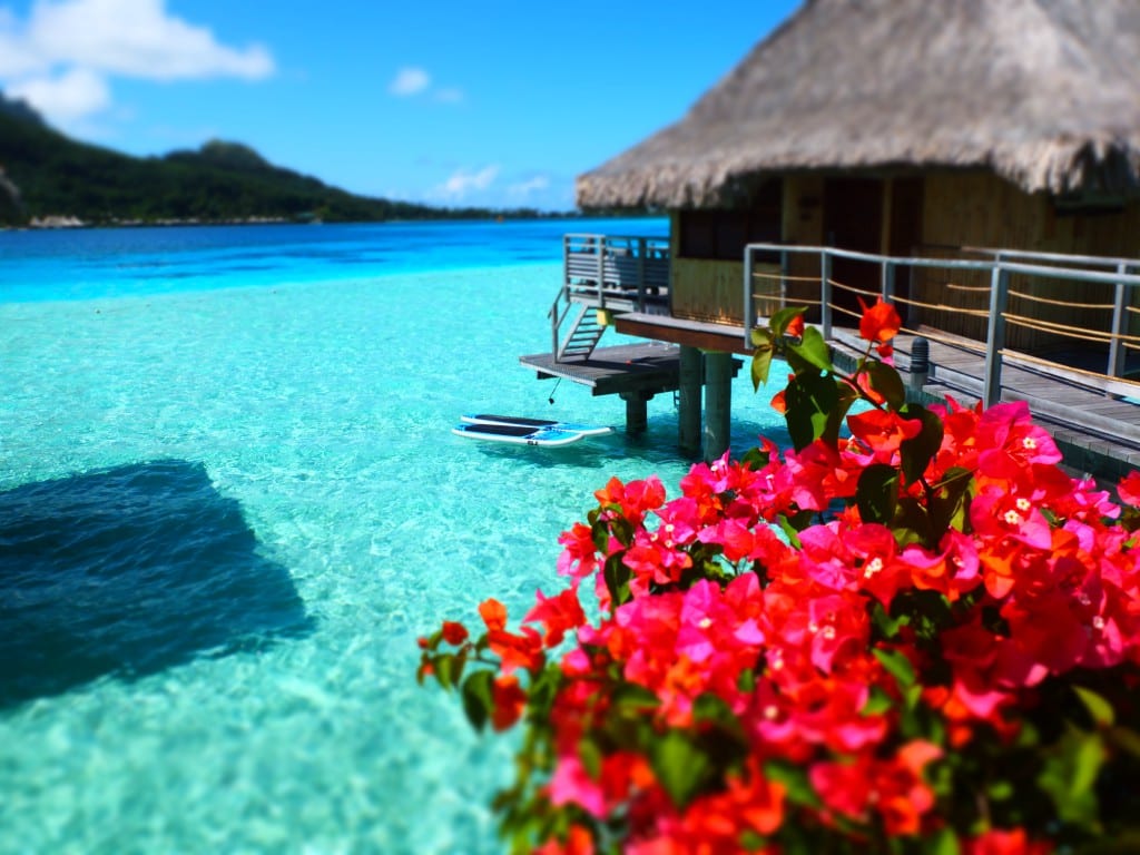 an over water bungalow in bora bora
