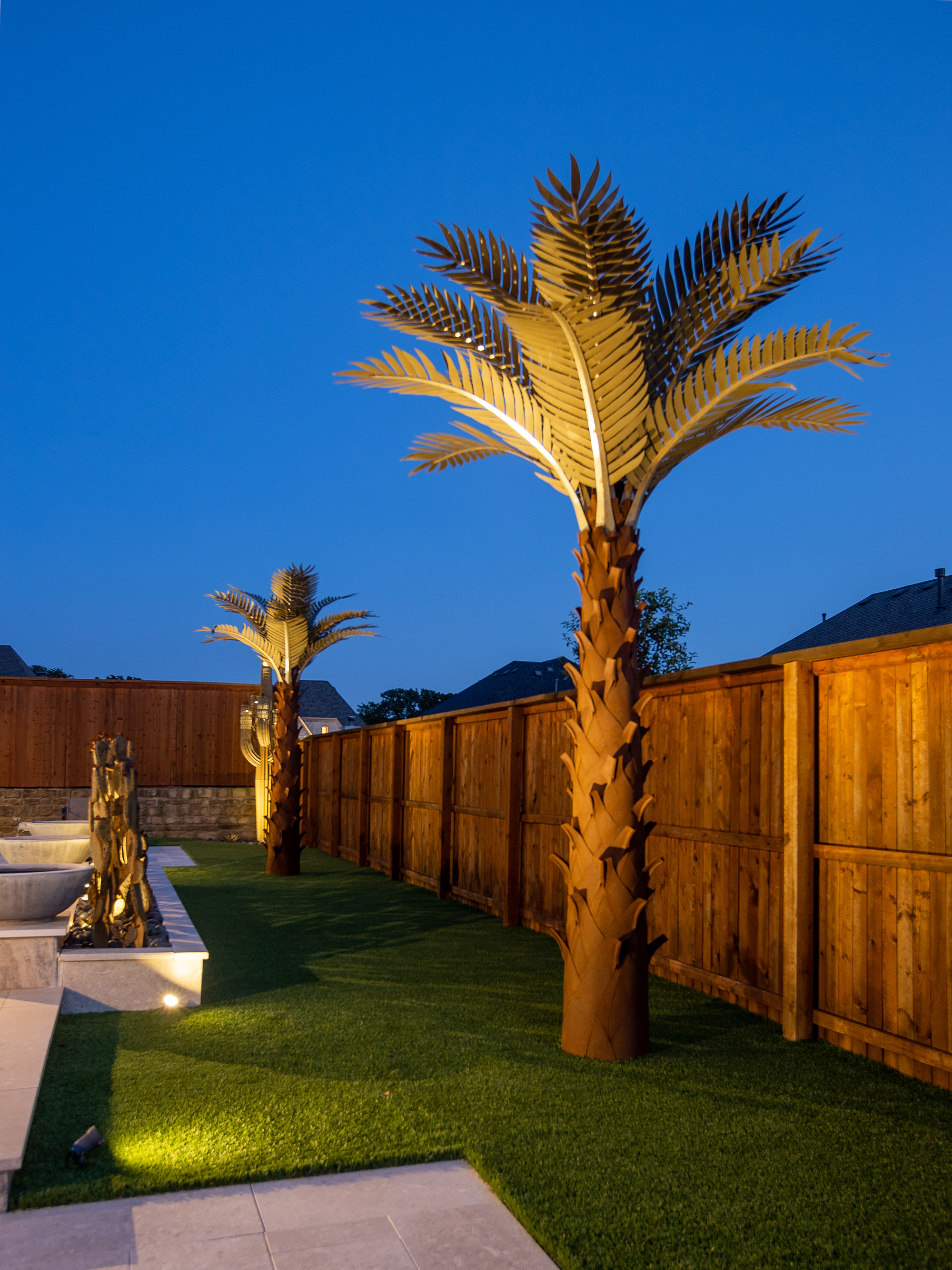 Palm trees in the backyard