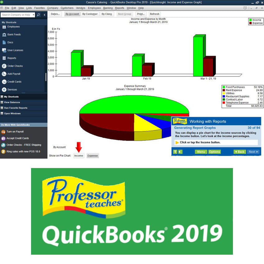 Professor Teaches Super Set DVD-Rom screenshot of a QuickBooks 2019 tutorial. Screen shows 2 large graphs under the title "Income and Expense by Month." In the lower-right of the screen is a tutorial window with instructions titled "Working with Reports."