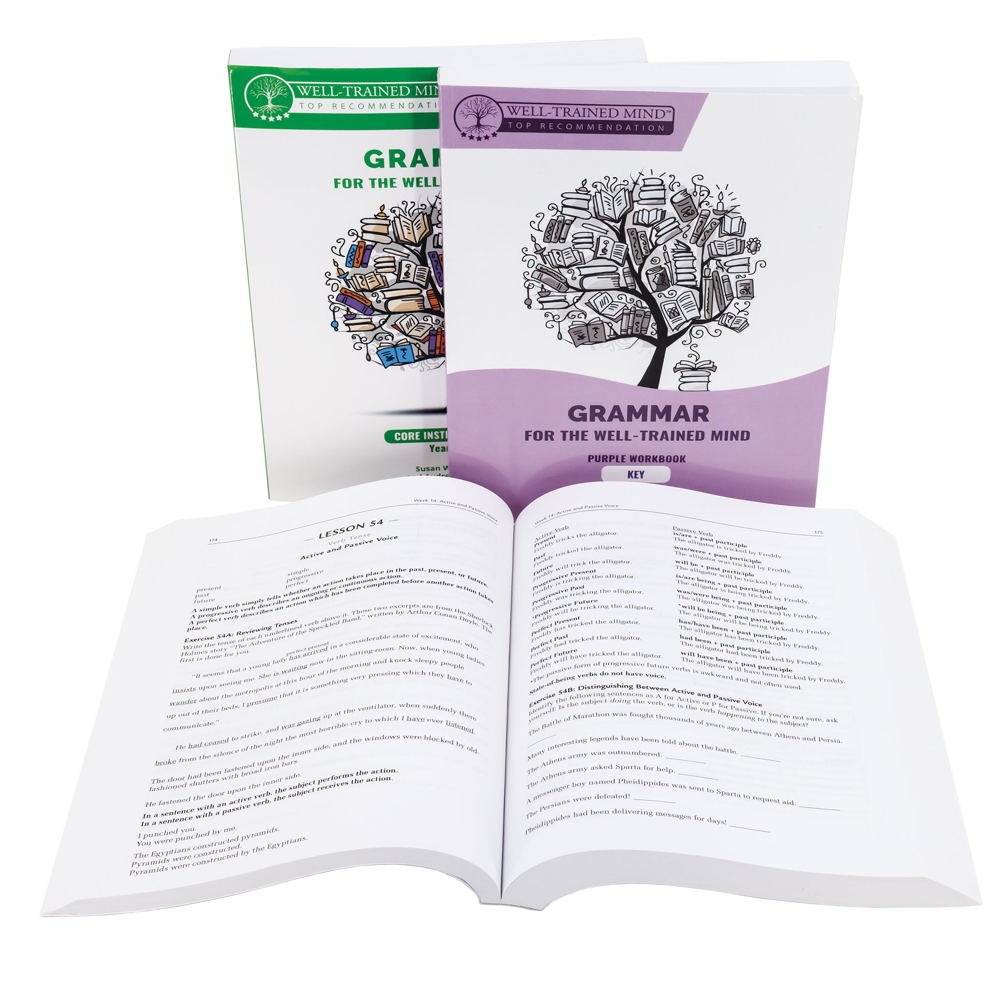 Grammar for the Well-Trained Mind Purple bundle of 3 books. There are 2 books standing in the back and one book laid open in front of them, showing a review of lesson 54. The standing right book has a white top and purple bottom with a wave shape between the 2 colors. There is an illustration in the white section of a tree with books for leaves and a stack of books near the trunk. The title is in the purple section at the bottom. Tucked behind the pink book is a green version of the book.