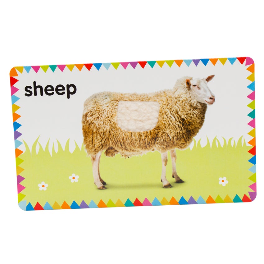 My First Touch and Feel Cards: First Words card showing a standing sheep with the word "sheep" written in the top-left corner. There is a spot on the sheep that provides a real cotton wool texture. The background is white with grass and white flowers with colored triangle-shaped flags all around the border.