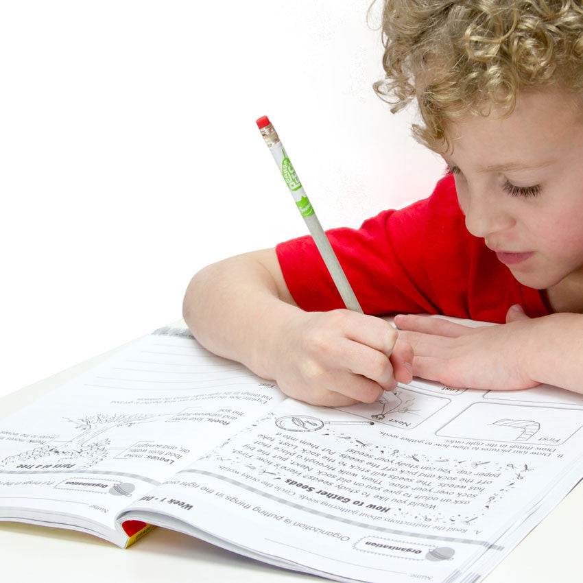 A blonde curly-haired boy in a red shirt is sitting at a white table and writing in the Daily 6 Trait Writing book. The book pages explain how to gather and plant seeds. The left page has 4 boxes to draw a sequence of gathering. The right page shows a tree with lines to answer questions below.