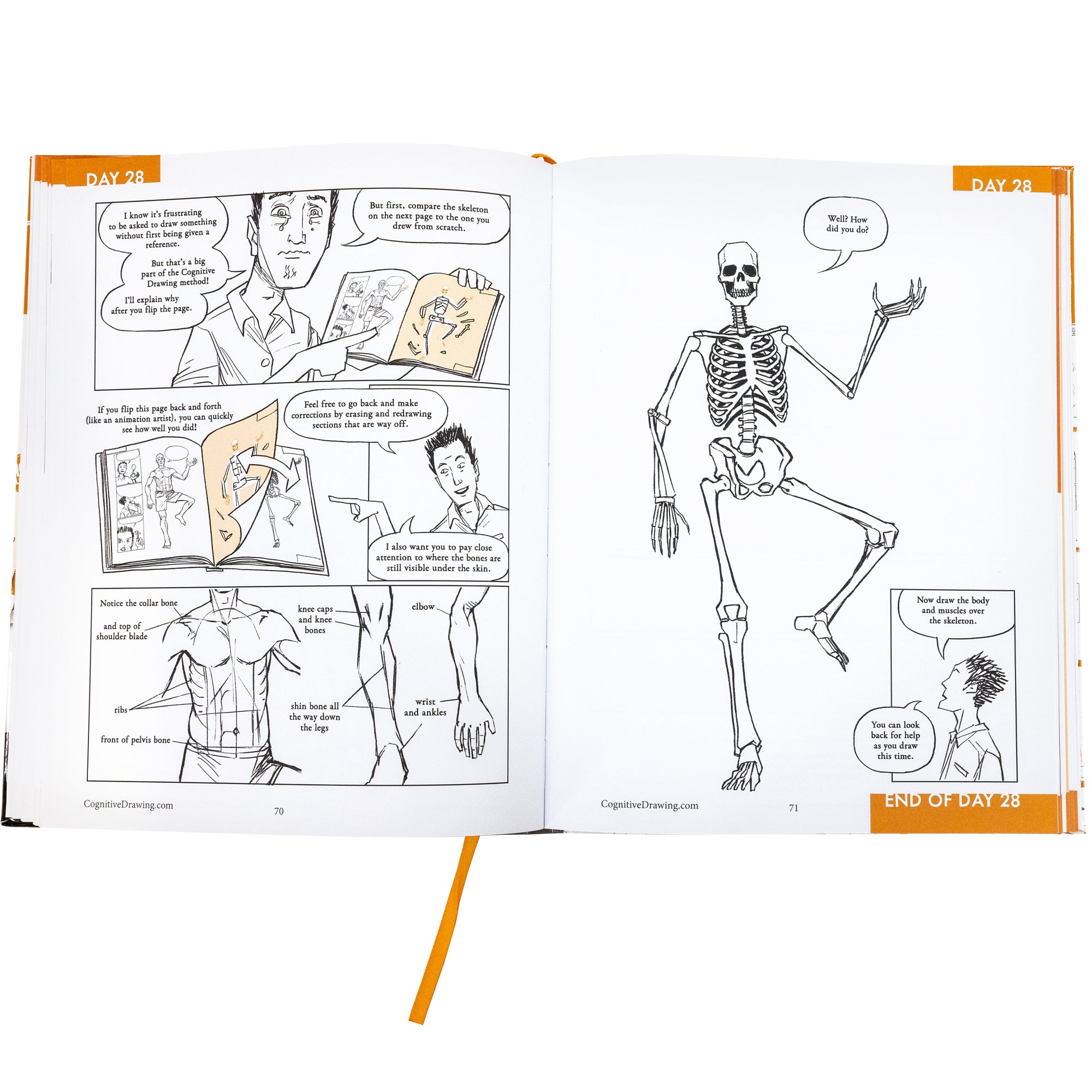 Cognitive Drawing book open to show inside pages. The left page looks like a black and white comic book. It is a male character showing how to draw a male torso, an arm, and a leg. The right page shows a skeleton with its’ left leg and arm up. He has a quote bubble with the words “Well? How did you do?” inside it. You are instructed to draw the body and muscles over the skeleton.