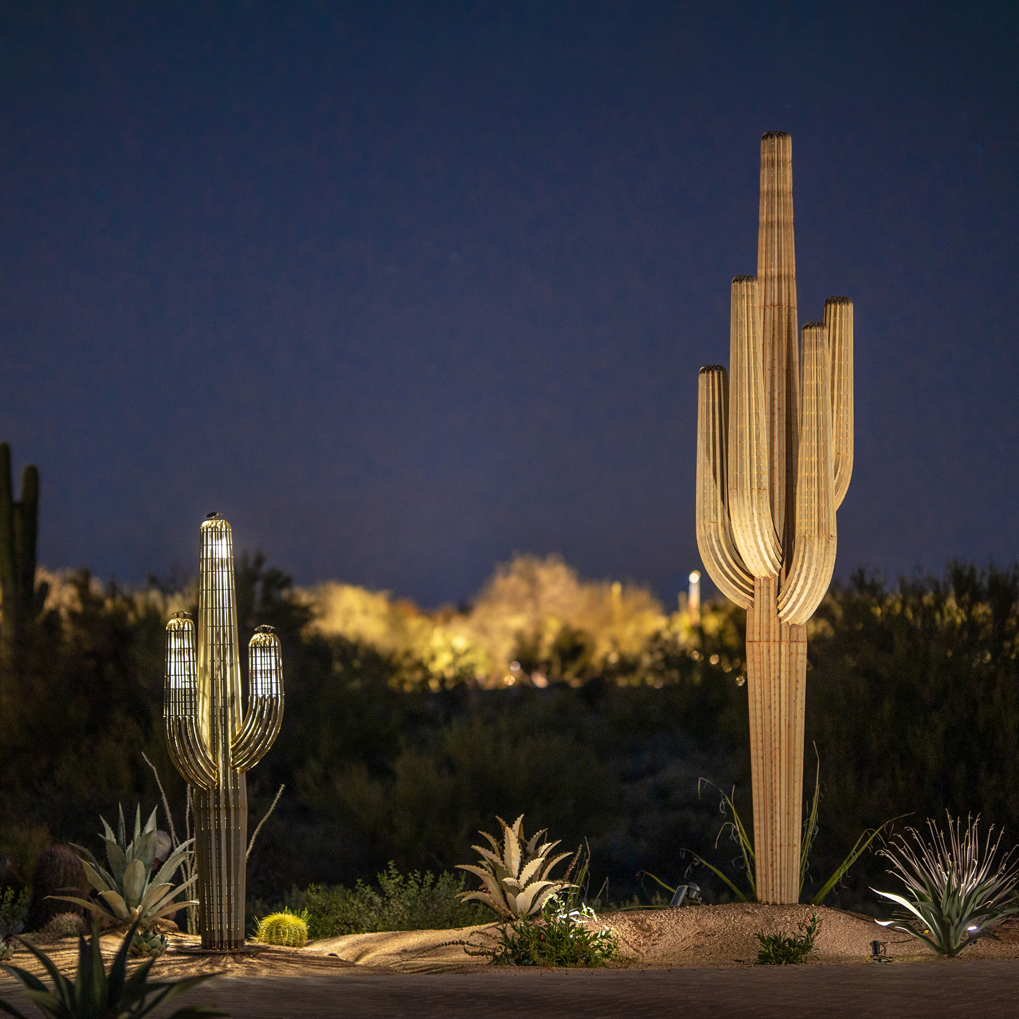 Dual lit saguaros