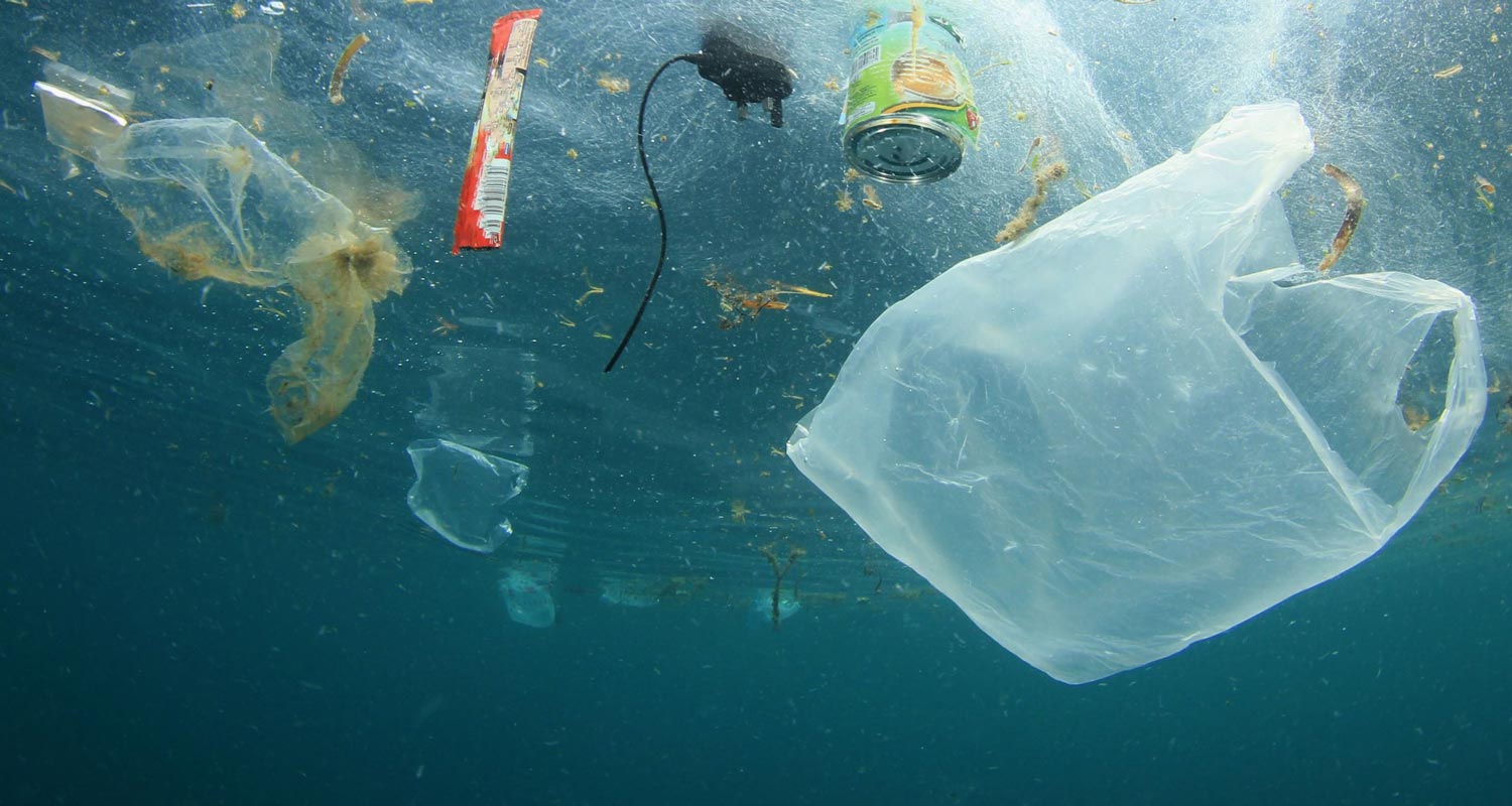 Plastic bag in ocean - plastic waste - ATTITUDE